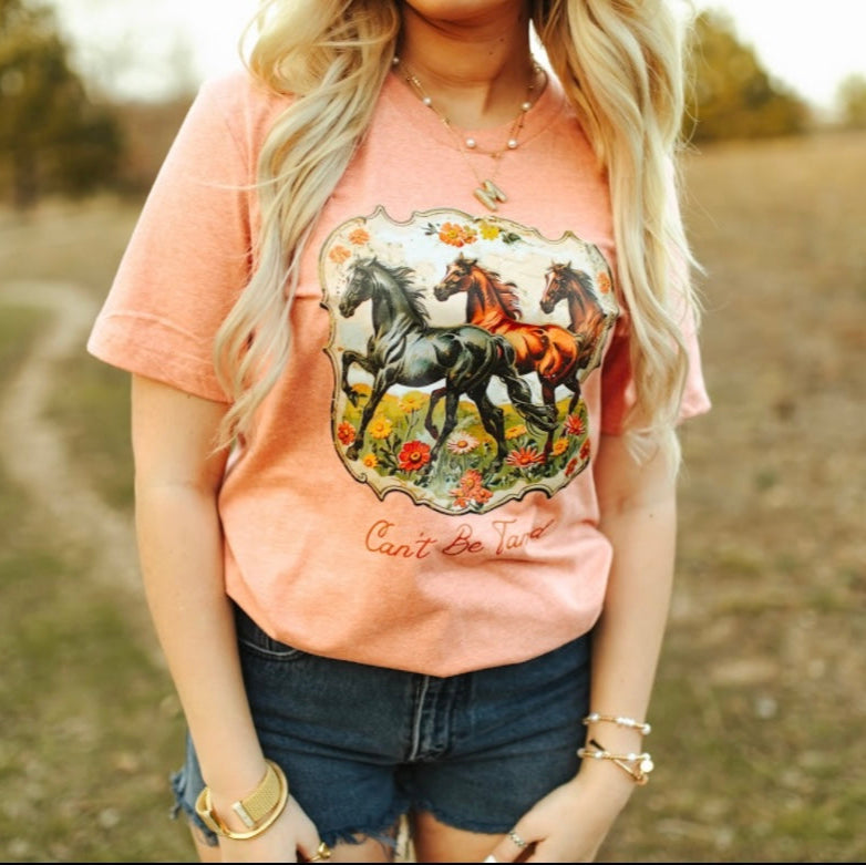 Can't Be Tamed Graphic Tee - Heather Sunset