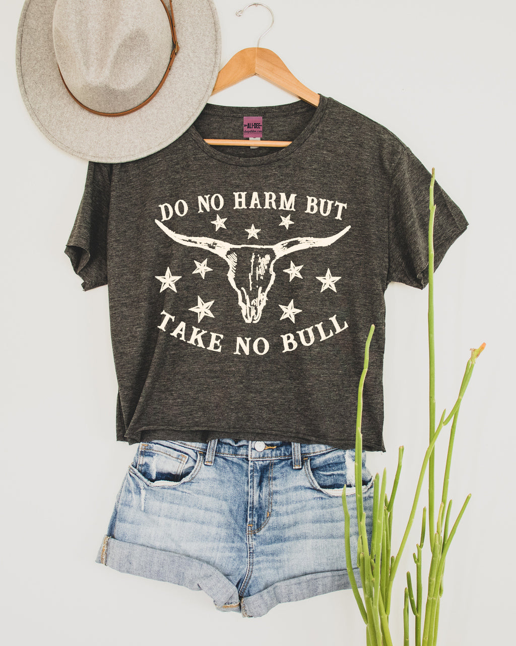 Do No Harm Crop Graphic Tee - Charcoal Crop